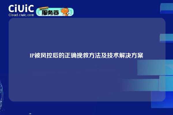 IP被风控后的正确挽救方法及技术解决方案