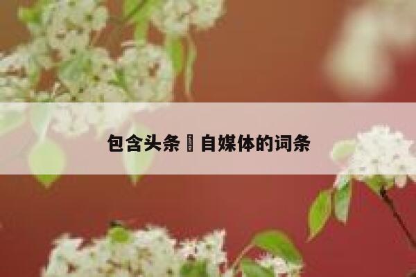 包含头条 自媒体的词条