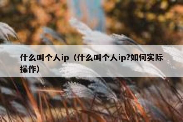 什么叫个人ip（什么叫个人ip?如何实际操作）