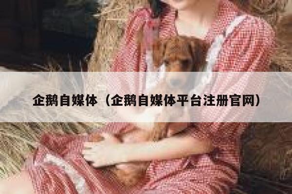 企鹅自媒体（企鹅自媒体平台注册官网）