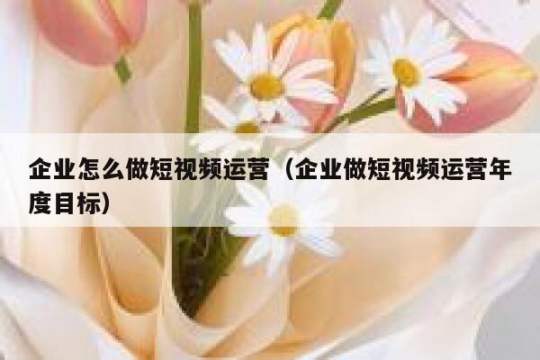 企业怎么做短视频运营（企业做短视频运营年度目标）