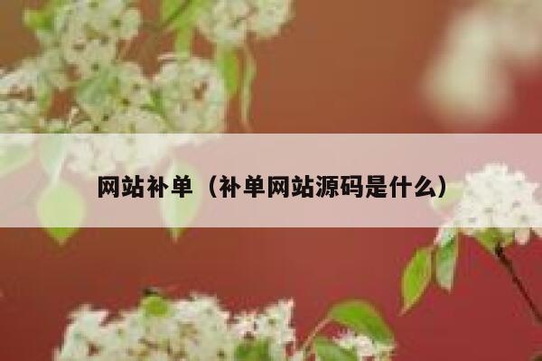 网站补单（补单网站源码是什么）