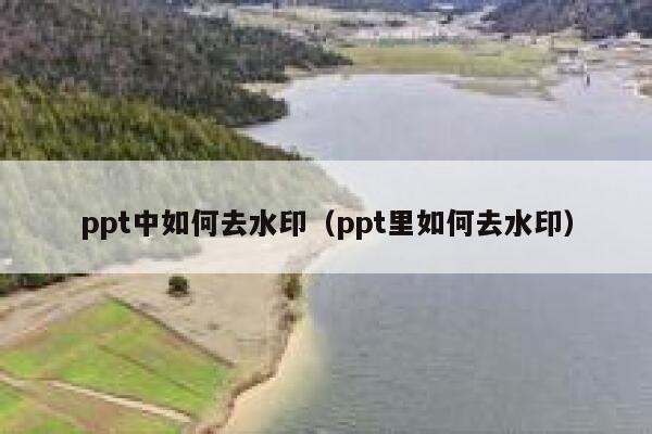 ppt中如何去水印（ppt里如何去水印）