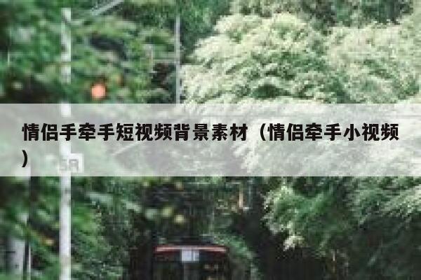 情侣手牵手短视频背景素材（情侣牵手小视频）