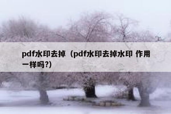 pdf水印去掉（pdf水印去掉水印 作用一样吗?）