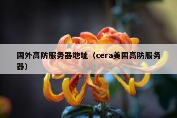 国外高防服务器地址（cera美国高防服务器）