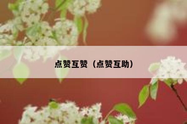 点赞互赞（点赞互助）