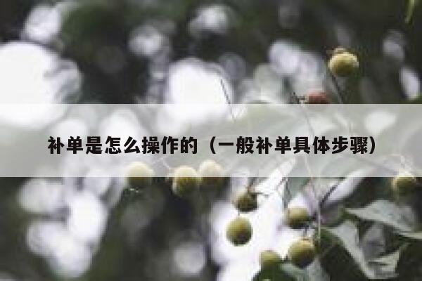 补单是怎么操作的（一般补单具体步骤）