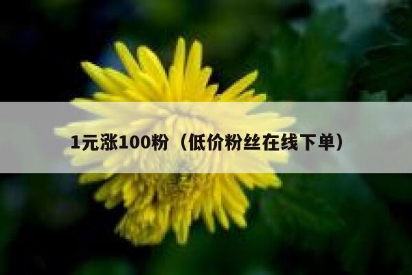 1元涨100粉（低价粉丝在线下单）