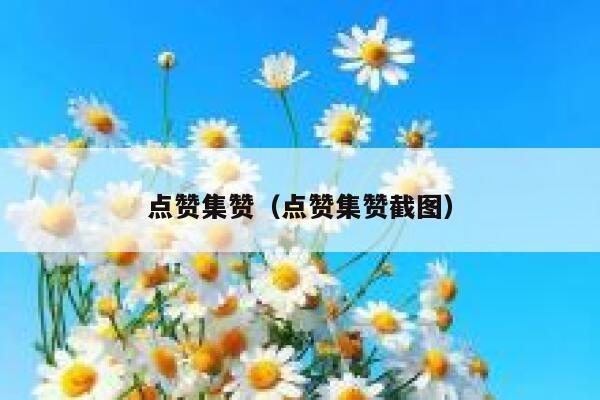 点赞集赞（点赞集赞截图）