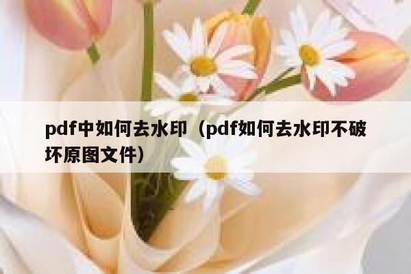 pdf中如何去水印（pdf如何去水印不破坏原图文件）