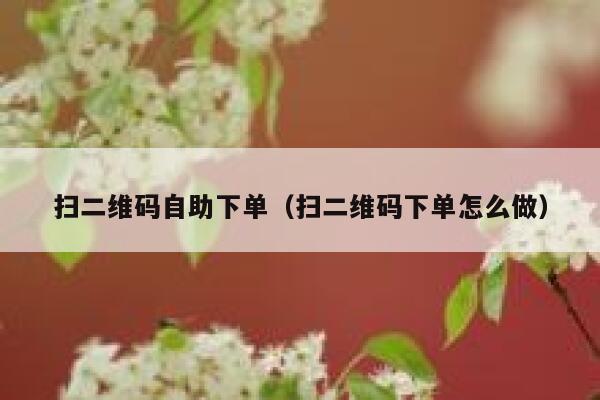 扫二维码自助下单（扫二维码下单怎么做）