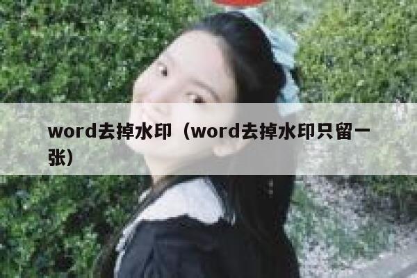 word去掉水印（word去掉水印只留一张）