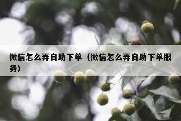 微信怎么弄自助下单（微信怎么弄自助下单服务）