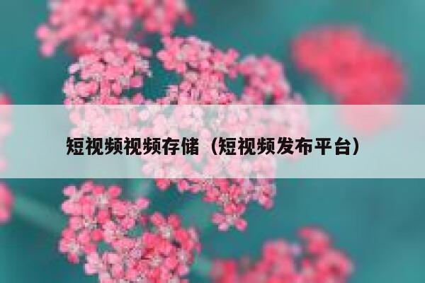 短视频视频存储（短视频发布平台）