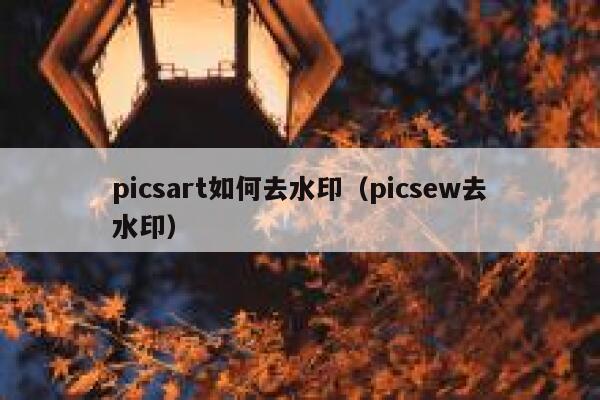 picsart如何去水印（picsew去水印）