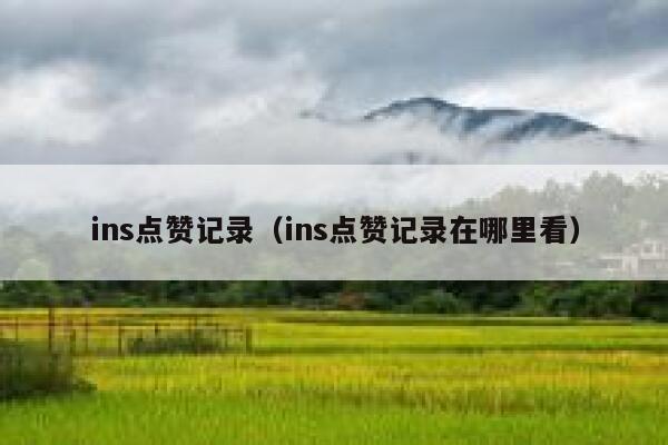 ins点赞记录（ins点赞记录在哪里看）