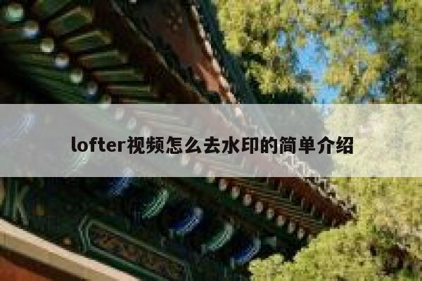 lofter视频怎么去水印的简单介绍