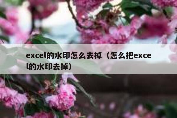 excel的水印怎么去掉（怎么把excel的水印去掉）