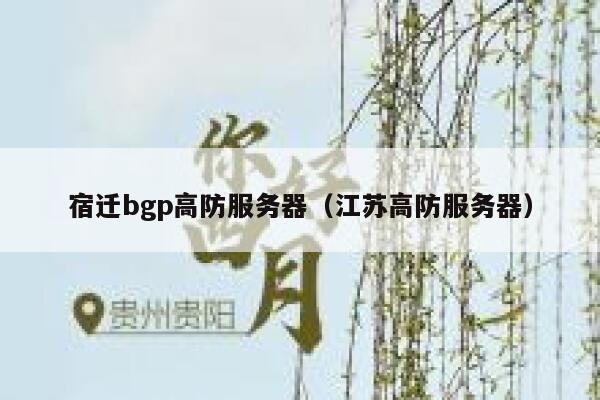 宿迁bgp高防服务器（江苏高防服务器）