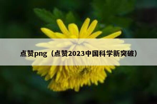 点赞png（点赞2023中国科学新突破）