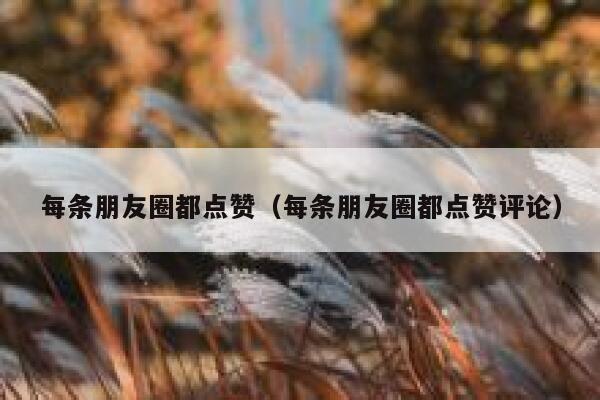 每条朋友圈都点赞（每条朋友圈都点赞评论）