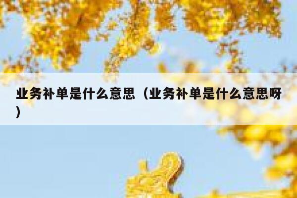 业务补单是什么意思（业务补单是什么意思呀）