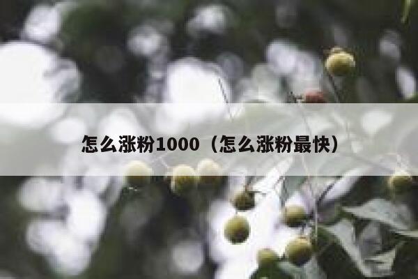 怎么涨粉1000（怎么涨粉最快）