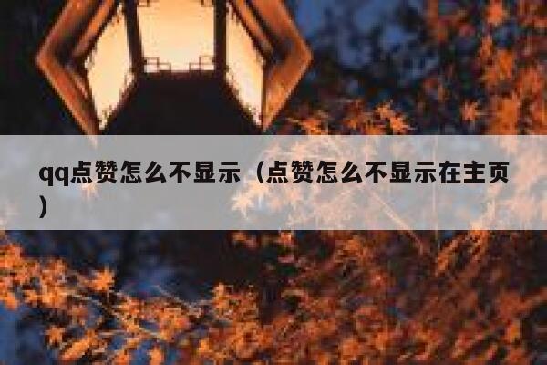 qq点赞怎么不显示（点赞怎么不显示在主页）