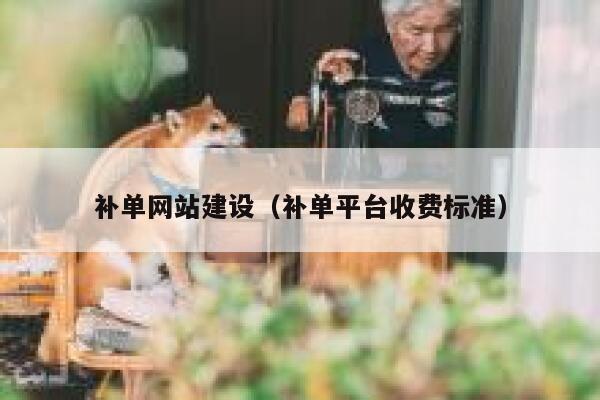 补单网站建设（补单平台收费标准）