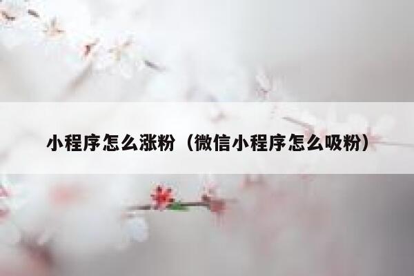 小程序怎么涨粉（微信小程序怎么吸粉）