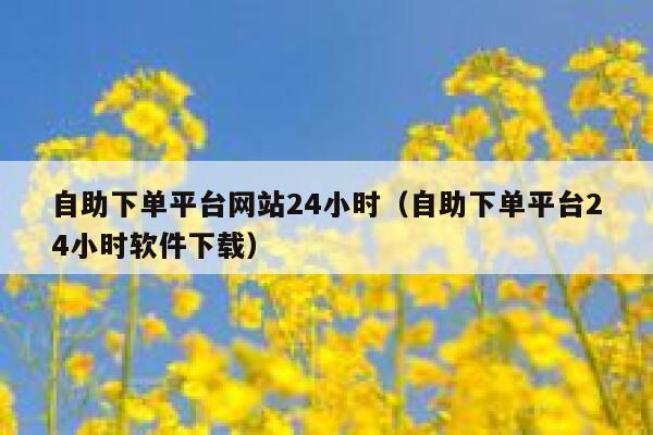 自助下单平台网站24小时（自助下单平台24小时软件下载）