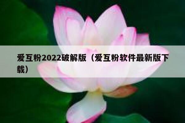 爱互粉2022破解版（爱互粉软件最新版下载）