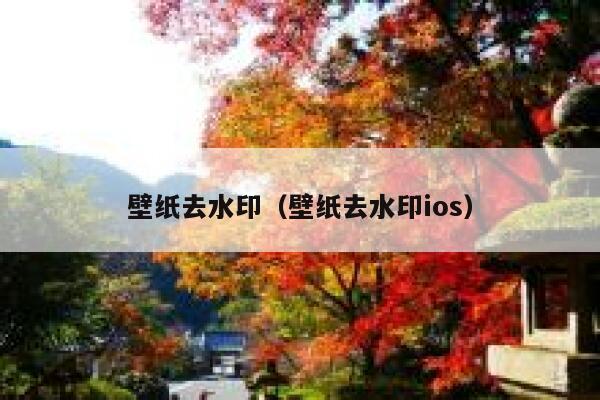 壁纸去水印（壁纸去水印ios）