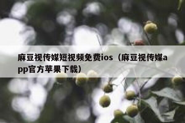 麻豆视传媒短视频免费ios（麻豆视传媒app官方苹果下载）