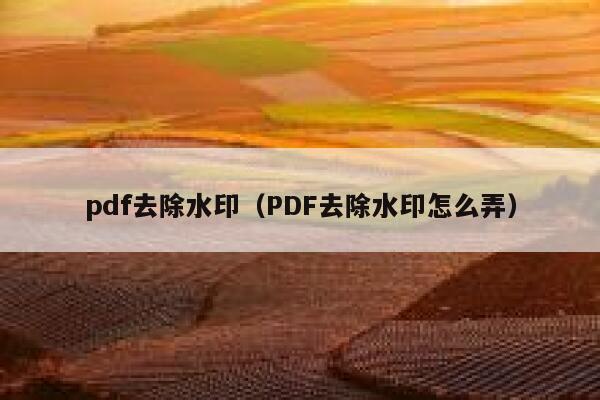 pdf去除水印（PDF去除水印怎么弄）