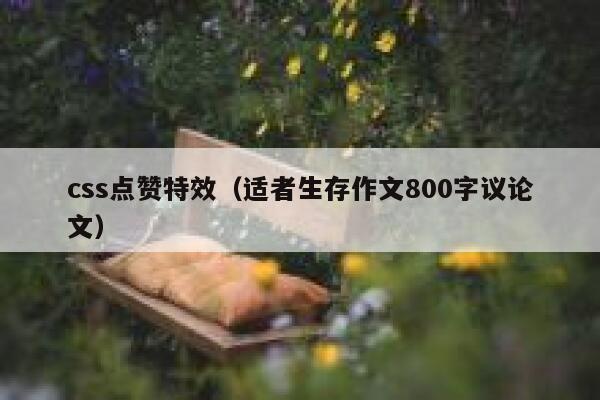 css点赞特效（适者生存作文800字议论文）