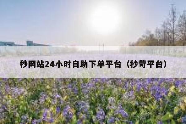 秒网站24小时自助下单平台（秒苛平台）