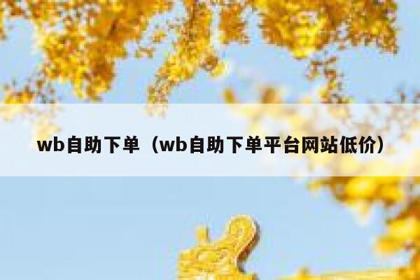 wb自助下单（wb自助下单平台网站低价）