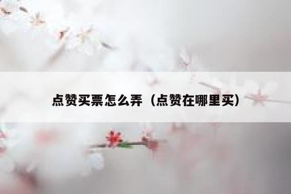 点赞买票怎么弄（点赞在哪里买）