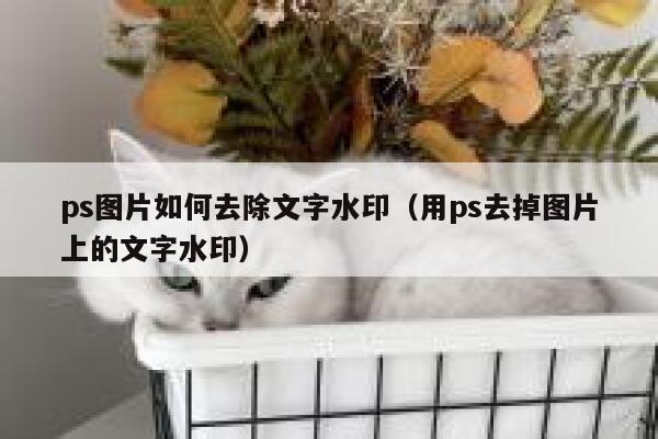 ps图片如何去除文字水印（用ps去掉图片上的文字水印）