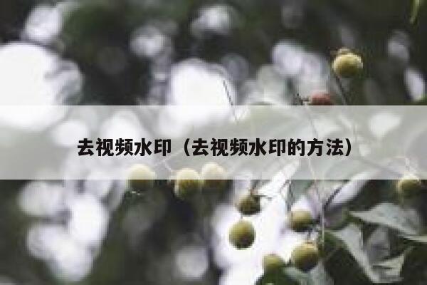 去视频水印（去视频水印的方法）