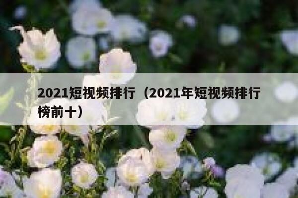 2021短视频排行（2021年短视频排行榜前十）