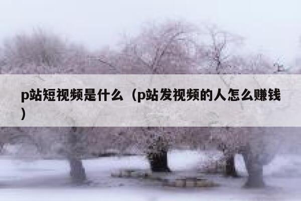 p站短视频是什么（p站发视频的人怎么赚钱）