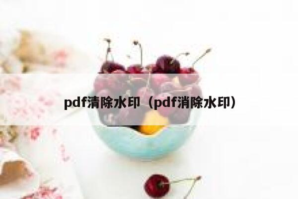 pdf清除水印（pdf消除水印）