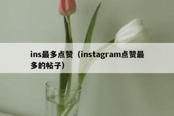 ins最多点赞（instagram点赞最多的帖子）