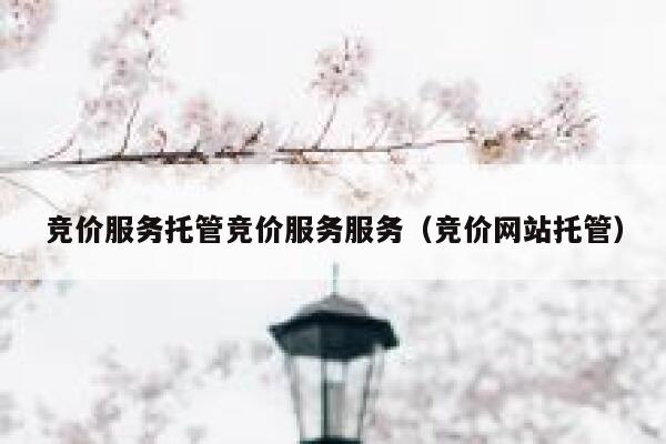 竞价服务托管竞价服务服务（竞价网站托管）