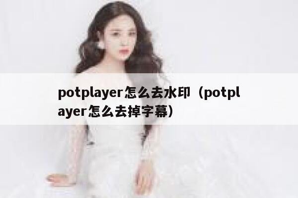 potplayer怎么去水印（potplayer怎么去掉字幕）