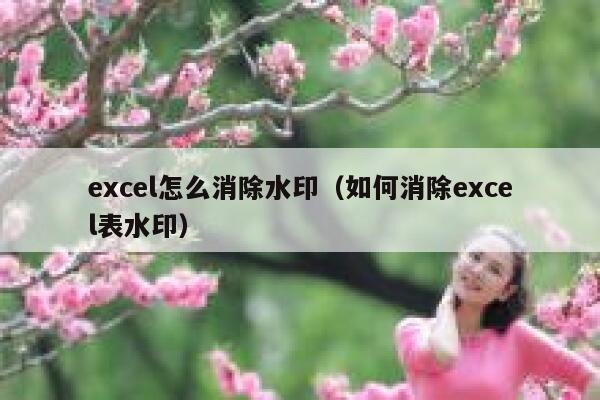 excel怎么消除水印（如何消除excel表水印）