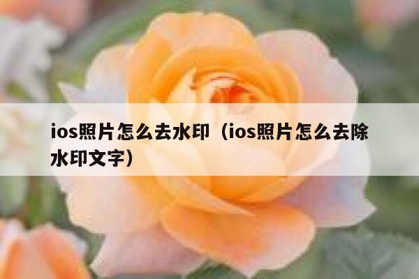 ios照片怎么去水印（ios照片怎么去除水印文字）